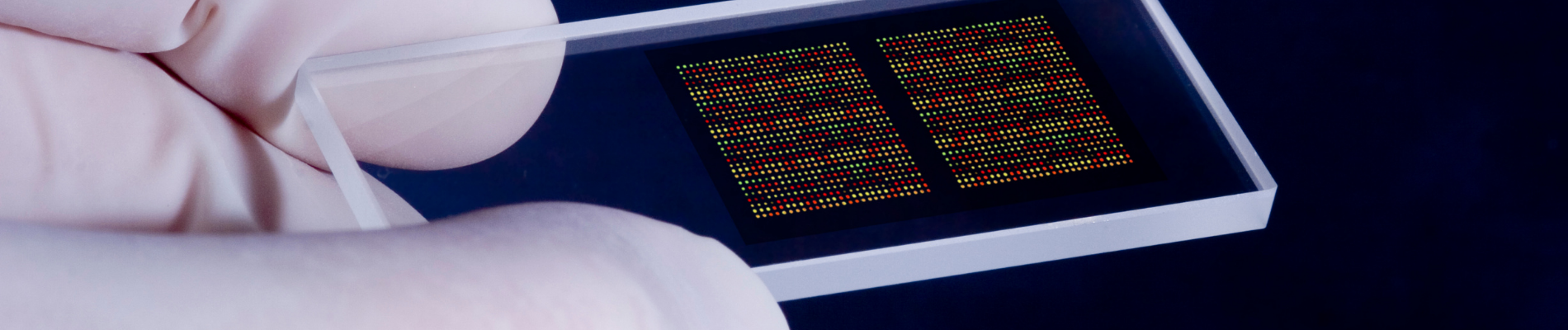 microarray chip