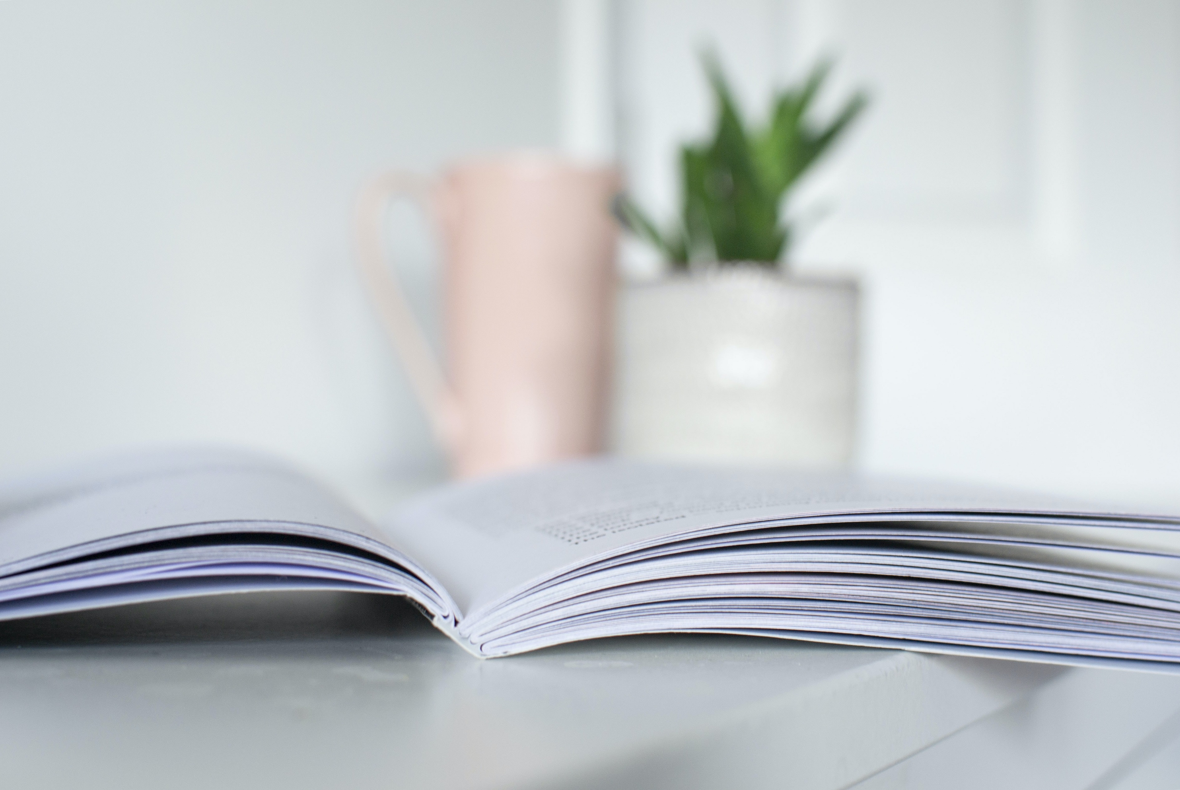 open book with a plant in the background