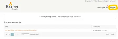 reports screenshot in the BIS