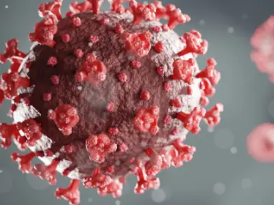 COVID-19 Virus